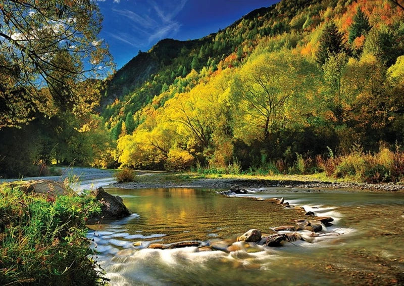 Trefl 1000-Piece Arrow River, New Zealand Puzzle | TRF10317