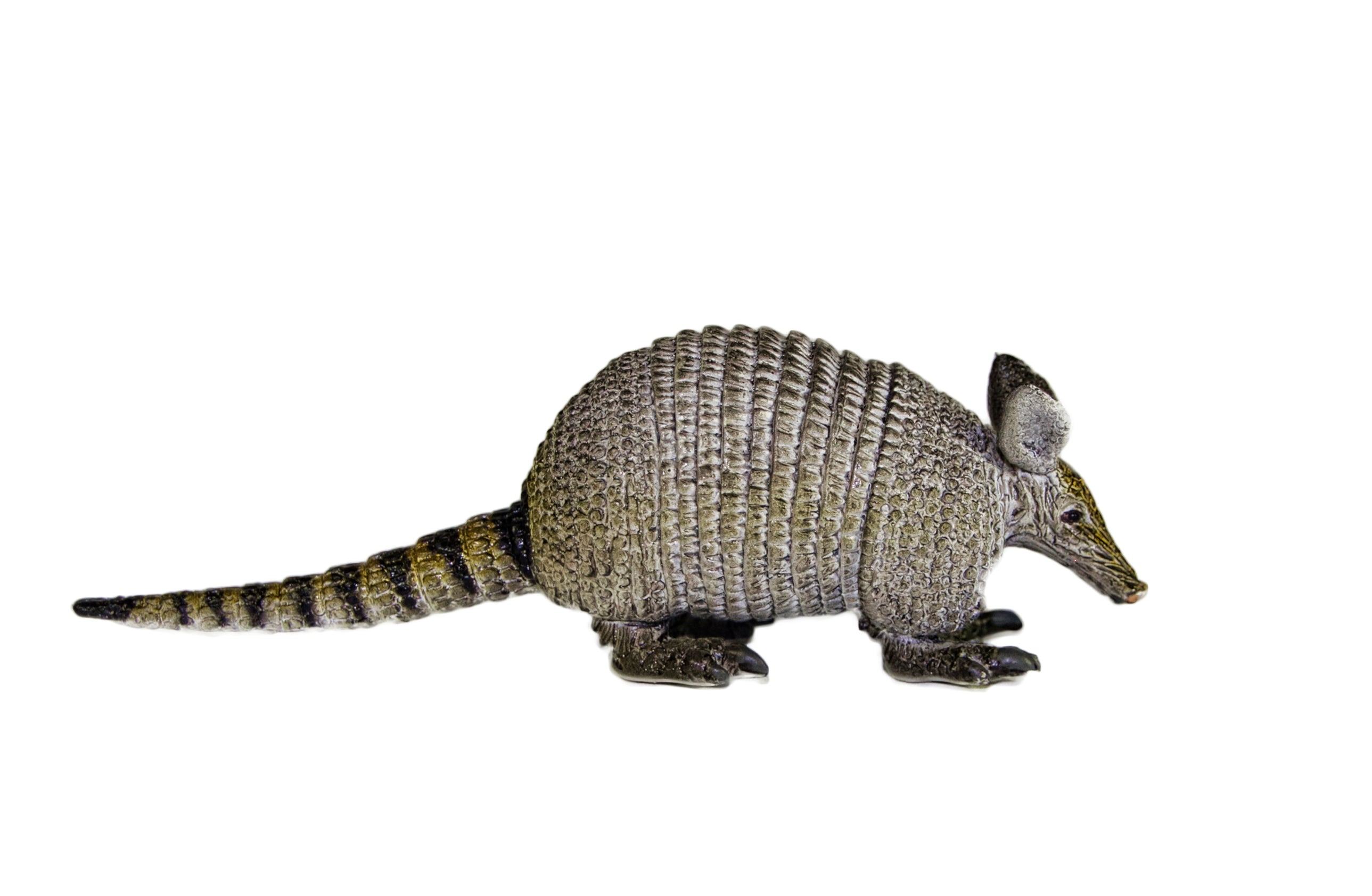 Armadillo 6 by Mamejo: Majestic Hand - Painted Figurines