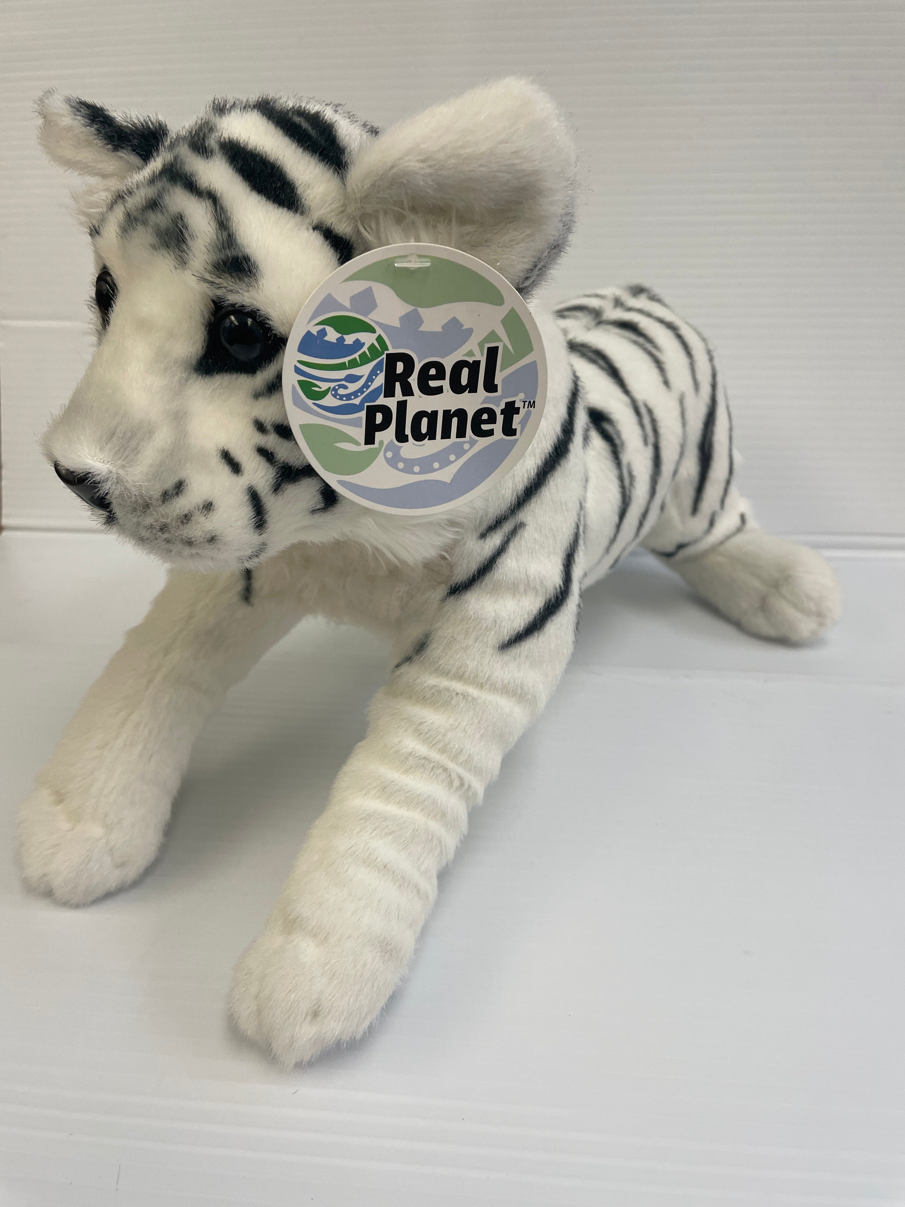 Adorable 19-Inch Baby White Tiger | TC48WH | Real Planet