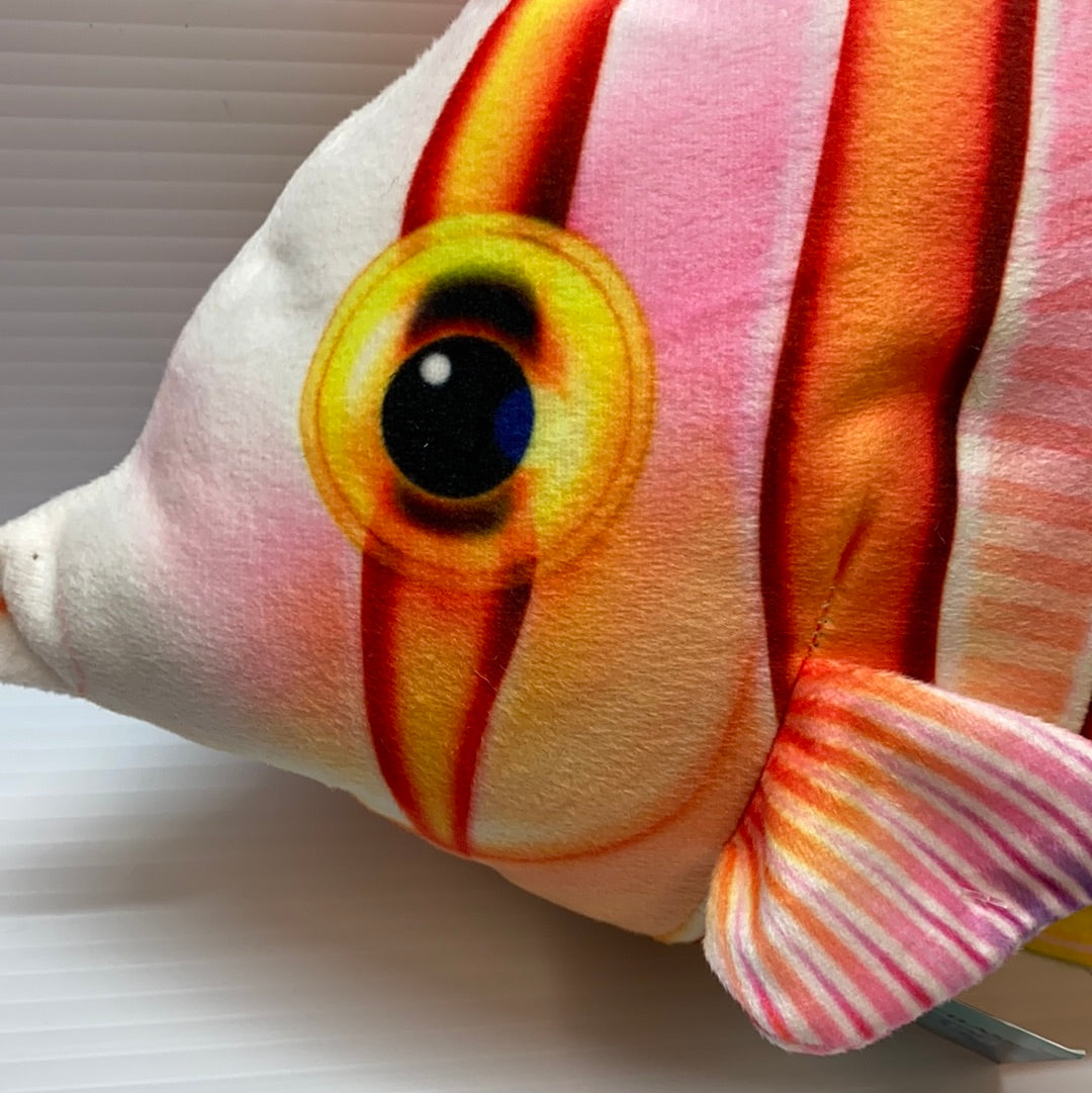 15 Stunning Butterfly Fish (Rocket) | R-BF38T | Real Planet - A Must-Have!